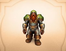 Veteran Adventurer's Outdoor Wear transmog set