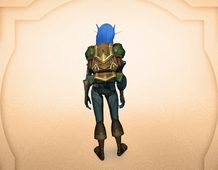 Veteran Adventurer's Rucksack back transmog