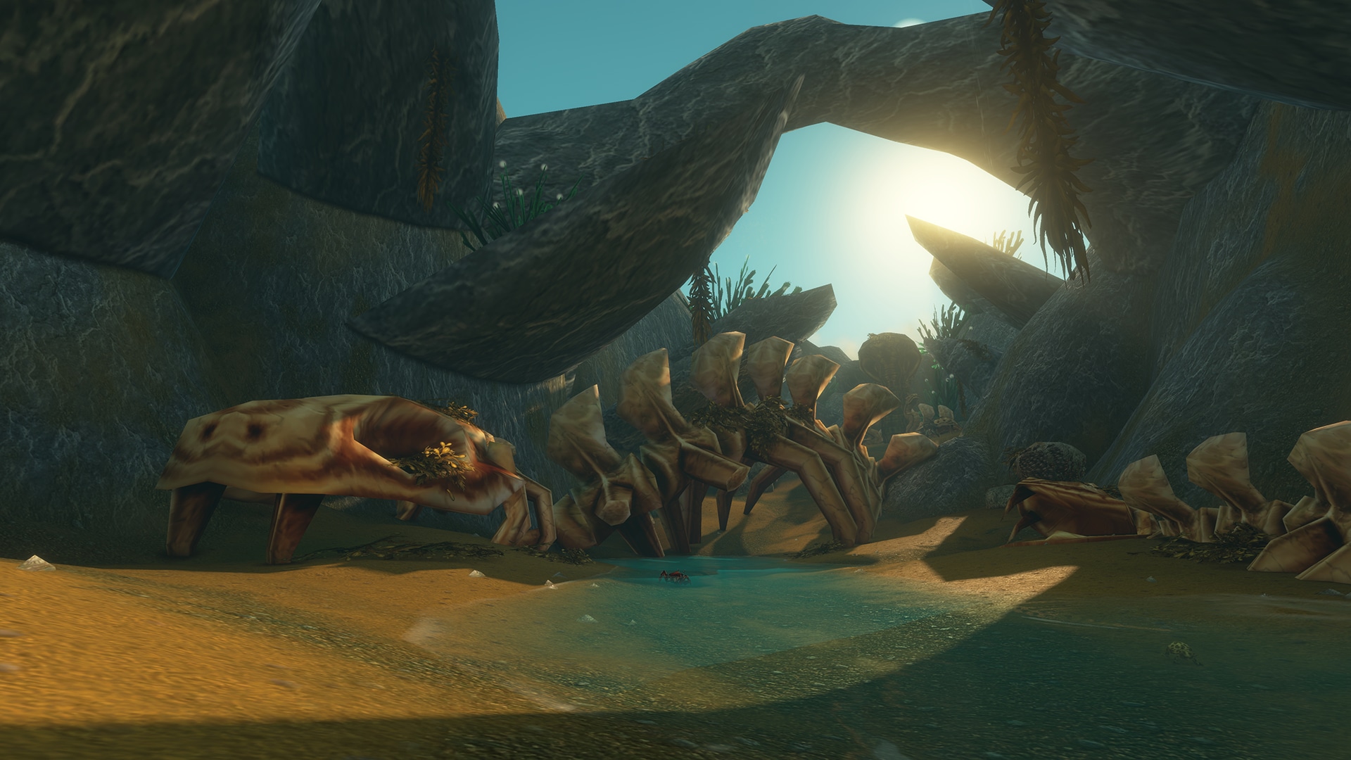 Dungeons, Raids, and Battlegrounds (image: Blizzard)