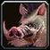 Boar Charge icon