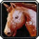 White Stallion icon