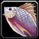 Brilliant Smallfish icon