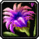 Druidic Touch icon