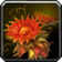 Lava Burster Flower icon