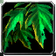 Algae icon