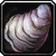 The King's Empty Conch icon