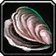 Darkwater Clam icon