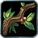 Herbalism icon