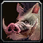 Boar Charge icon