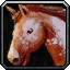 White Stallion icon