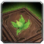 Herbalism Journal icon