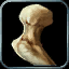 Bone Frenzy icon