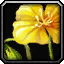 Growth icon