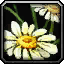 Baby Back icon