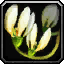 Deathweed icon