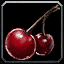 Dreamberries icon