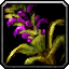 Teldrassil Sproutling icon