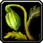 Fresh Brewfest Hops icon