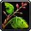 Bloodvine icon