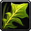 Crush Herbs icon