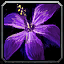 Gift of the Grove icon