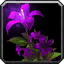 Herbal Infusion icon