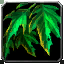 Algae icon