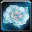 Dragonrider's Cultivation icon