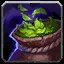 Detoxifying Poultice icon