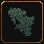 Old Moonbrook Creeping Ivy, a World of Warcraft housing decor