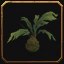 Zul'Aman Swamp Palm Sprout, a World of Warcraft housing decor
