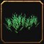 Brumewood Hollow Grassy Spread, a World of Warcraft housing decor