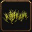Founder's Point Grassy Spread, a World of Warcraft housing decor