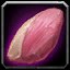 inv_cooking_100_duckmeat_color01 icon