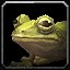 Poison Dart Frog portrait