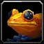 inv_frog2_orange icon