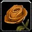 Rose of Independence icon