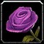 Rose of Joy icon
