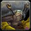 Unusually Wise Hermit Crab