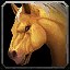 inv_horse3_palamino icon