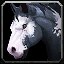 inv_horse3_piebald icon