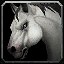 inv_horse3_white icon
