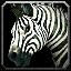 inv_horse3_zebra icon