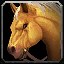 inv_horse3saddle001_palamino icon