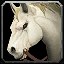 inv_horse3saddle001_pale icon