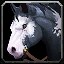 inv_horse3saddle001_piebald icon
