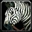 inv_horse3saddle001_zebra icon