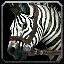 inv_horse3saddle003_zebra icon