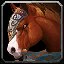 inv_horse3saddle006_base_chestnut icon