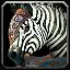 inv_horse3saddle006_base_zebra icon